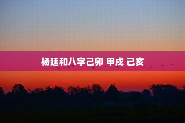 杨廷和八字己卯 甲戌 己亥