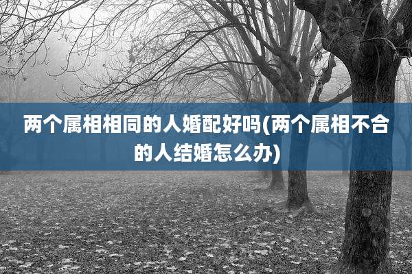 两个属相相同的人婚配好吗(两个属相不合的人结婚怎么办)