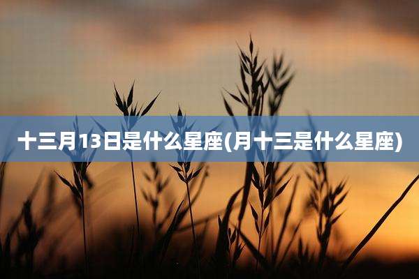十三月13日是什么星座(月十三是什么星座)