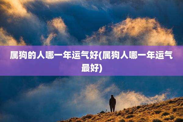 属狗的人哪一年运气好(属狗人哪一年运气最好)