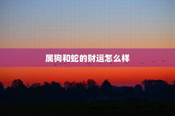 属狗和蛇的财运怎么样