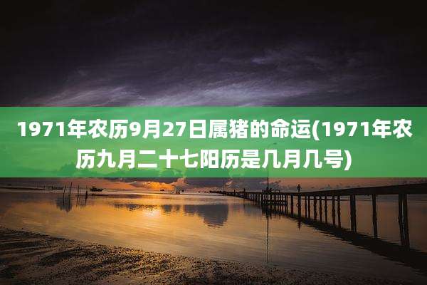 1971年农历9月27日属猪的命运(1971年农历九月二十七阳历是几月几号)