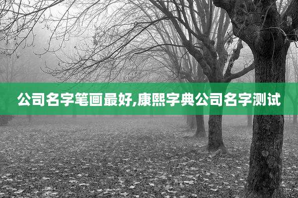 公司名字笔画最好,康熙字典公司名字测试