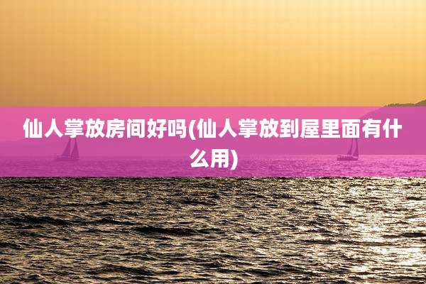 仙人掌放房间好吗(仙人掌放到屋里面有什么用)