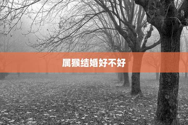 属猴结婚好不好