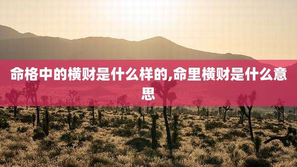 命格中的横财是什么样的,命里横财是什么意思