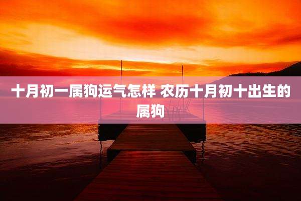 十月初一属狗运气怎样 农历十月初十出生的属狗