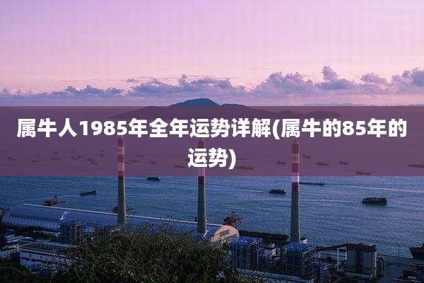 属牛人1985年全年运势详解(属牛的85年的运势)