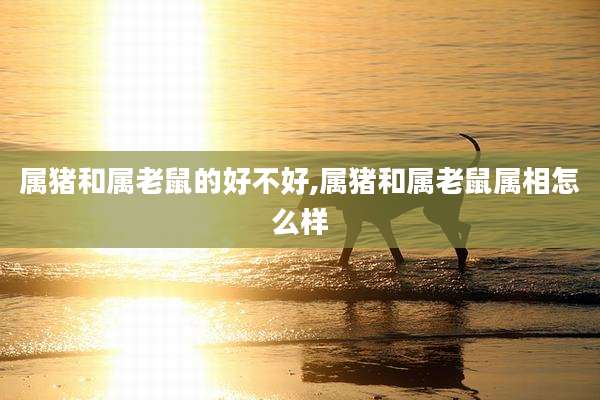 属猪和属老鼠的好不好,属猪和属老鼠属相怎么样
