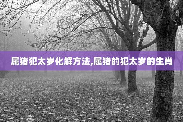 属猪犯太岁化解方法,属猪的犯太岁的生肖