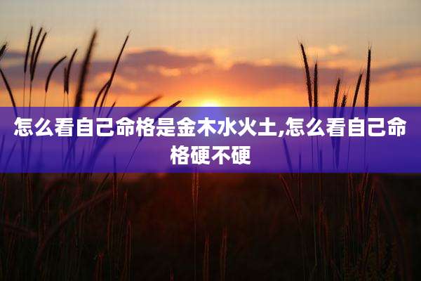 怎么看自己命格是金木水火土,怎么看自己命格硬不硬