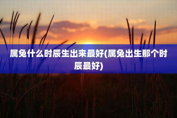 属兔什么时辰生出来最好(属兔出生那个时辰最好)