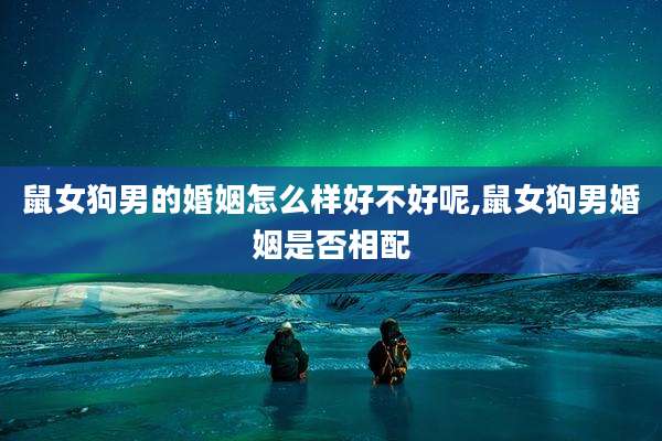 鼠女狗男的婚姻怎么样好不好呢,鼠女狗男婚姻是否相配
