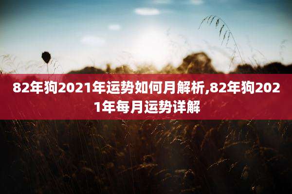 82年狗2021年运势如何月解析,82年狗2021年每月运势详解