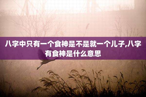 八字中只有一个食神是不是就一个儿子,八字有食神是什么意思