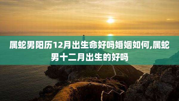 属蛇男阳历12月出生命好吗婚姻如何,属蛇男十二月出生的好吗