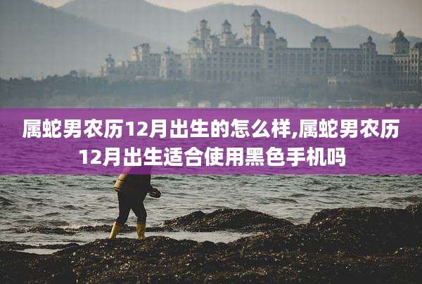 属蛇男农历12月出生的怎么样,属蛇男农历12月出生适合使用黑色手机吗