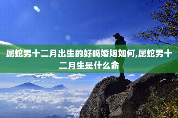属蛇男十二月出生的好吗婚姻如何,属蛇男十二月生是什么命