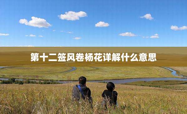 第十二签风卷杨花详解什么意思