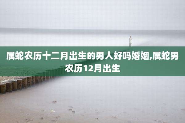 属蛇农历十二月出生的男人好吗婚姻,属蛇男农历12月出生