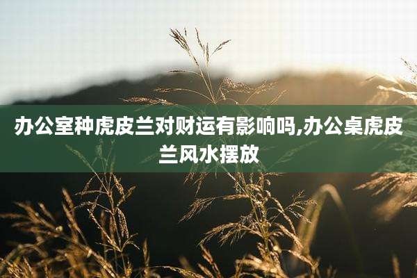 办公室种虎皮兰对财运有影响吗,办公桌虎皮兰风水摆放