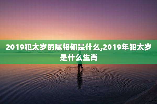 2019犯太岁的属相都是什么,2019年犯太岁是什么生肖