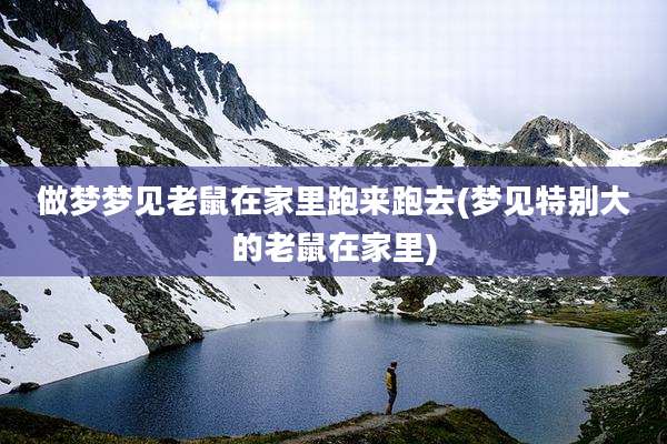 做梦梦见老鼠在家里跑来跑去(梦见特别大的老鼠在家里)