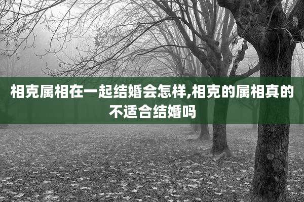相克属相在一起结婚会怎样,相克的属相真的不适合结婚吗