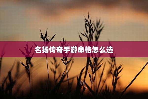 名扬传奇手游命格怎么选
