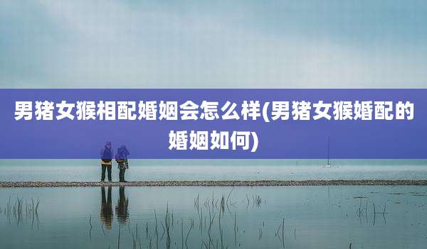 男猪女猴相配婚姻会怎么样(男猪女猴婚配的婚姻如何)