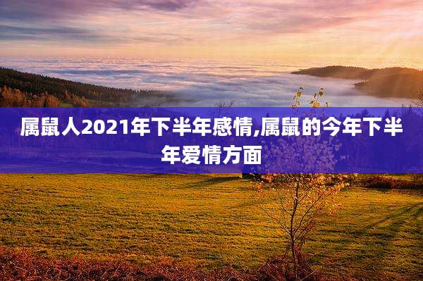 属鼠人2021年下半年感情,属鼠的今年下半年爱情方面
