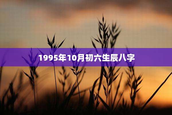 1995年10月初六生辰八字