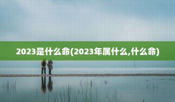 2023是什么命(2023年属什么,什么命)