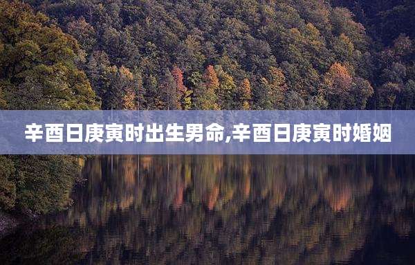 辛酉日庚寅时出生男命,辛酉日庚寅时婚姻
