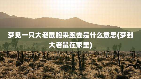 梦见一只大老鼠跑来跑去是什么意思(梦到大老鼠在家里)