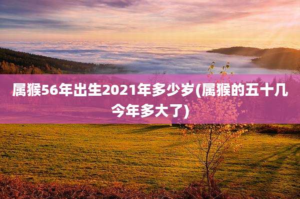 属猴56年出生2021年多少岁(属猴的五十几今年多大了)
