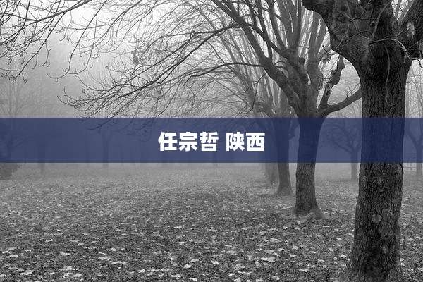 任宗哲 陕西