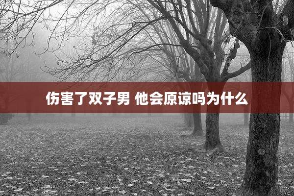 伤害了双子男 他会原谅吗为什么
