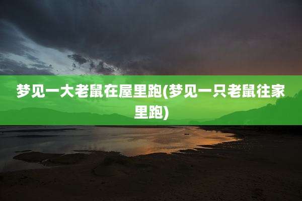 梦见一大老鼠在屋里跑(梦见一只老鼠往家里跑)
