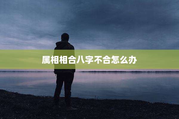 属相相合八字不合怎么办