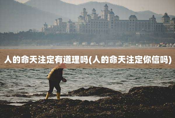 人的命天注定有道理吗(人的命天注定你信吗)