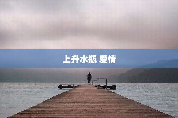上升水瓶 爱情