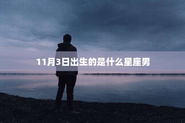 11月3日出生的是什么星座男