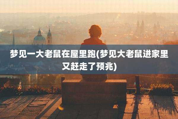 梦见一大老鼠在屋里跑(梦见大老鼠进家里又赶走了预兆)