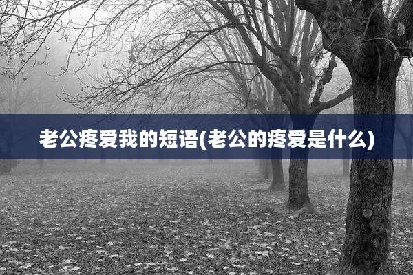 老公疼爱我的短语(老公的疼爱是什么)