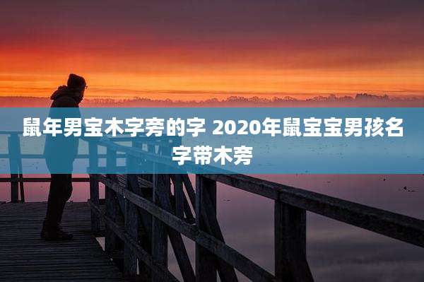 鼠年男宝木字旁的字 2020年鼠宝宝男孩名字带木旁