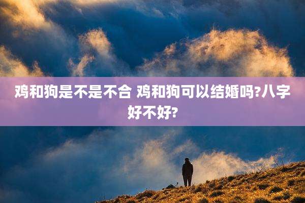 鸡和狗是不是不合 鸡和狗可以结婚吗?八字好不好?