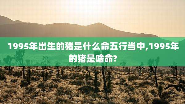 1995年出生的猪是什么命五行当中,1995年的猪是啥命?