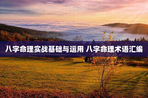 八字命理实战基础与运用 八字命理术语汇编