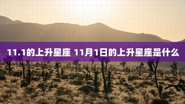 11.1的上升星座 11月1日的上升星座是什么